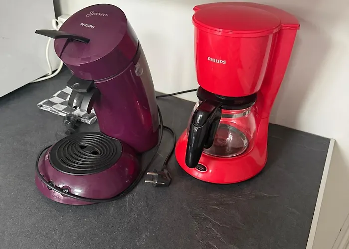 La Surprise Apartment *